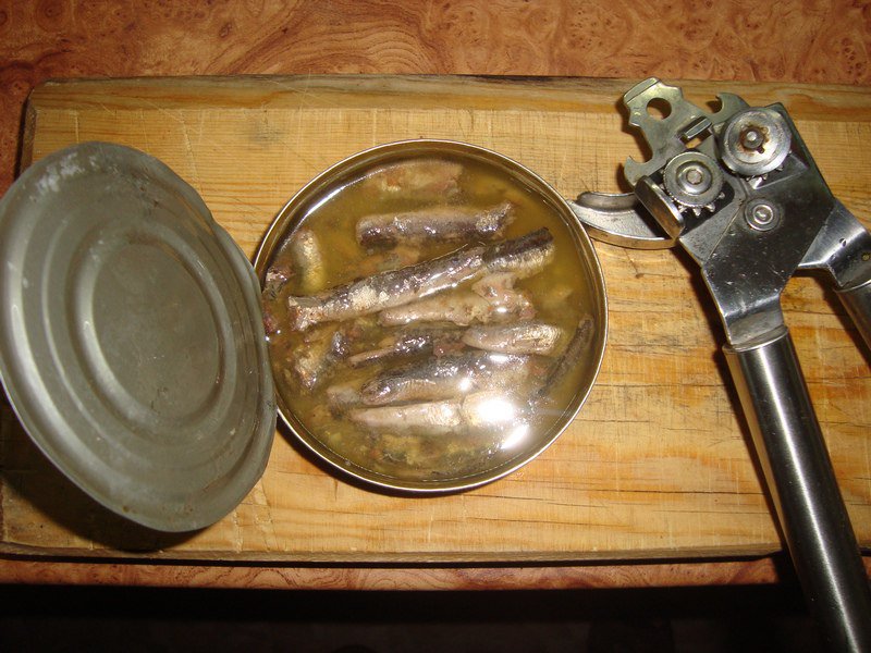 Российские шпроты навеяли на крымчан "тоску и безнадегу"