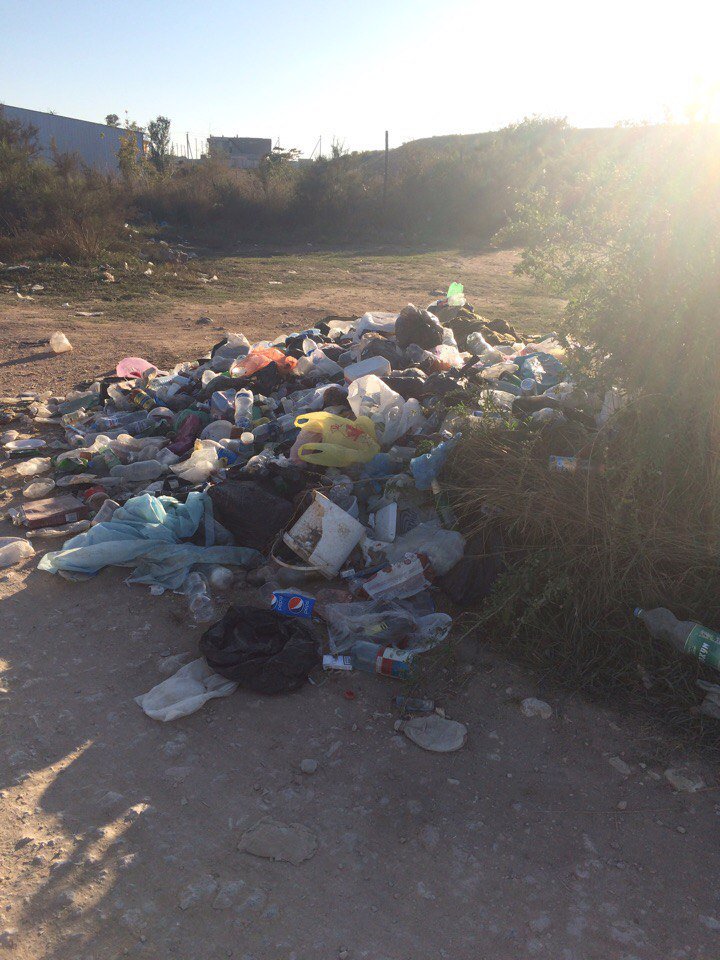 В сети показали свежие фото севастопольских пляжей