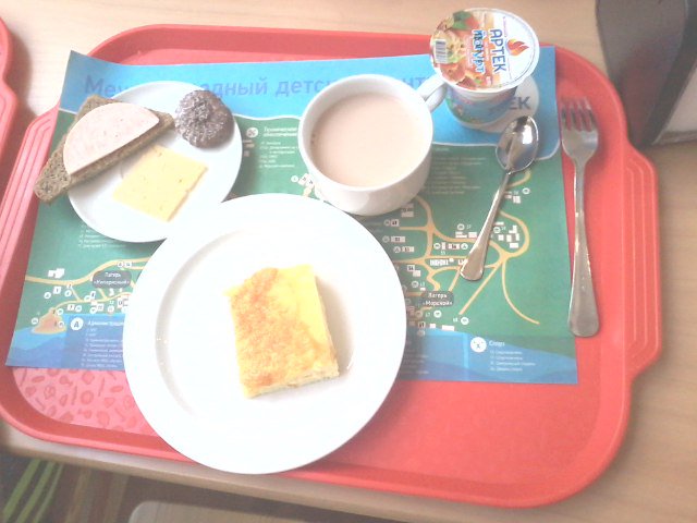 "Наследники Золотой орды": питание в украденном "Артеке" ужаснуло соцсети