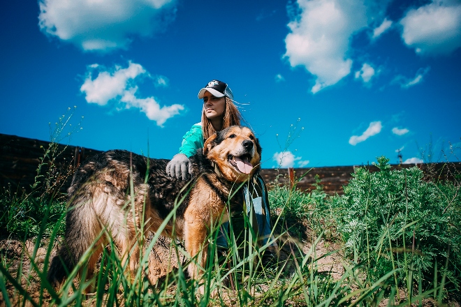 Волонтеры ищут хозяина для пса-дворянина