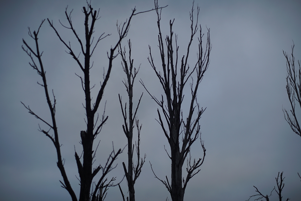 У ворога під носом: позиції бійців ЗСУ під окупованим Донецьком показали на фото
