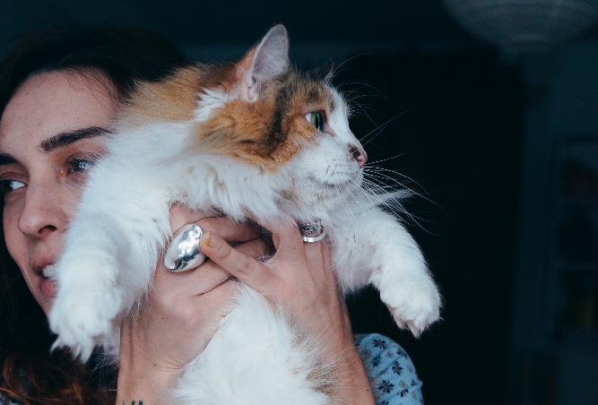 Волонтери шукають дім для пухнастої Аліси