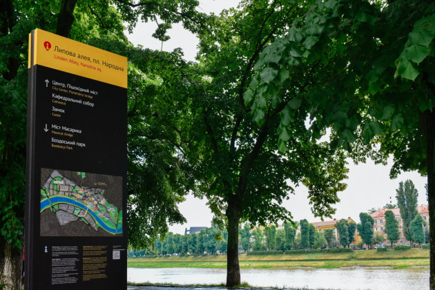 В Украине зацвела самая длинная липовая аллея в Европе (фото)