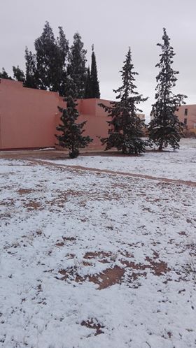 У пустелі Сахара знову снігопад (неймовірні фото)