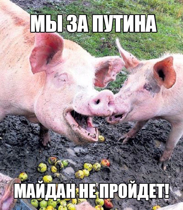 "И так сожрут": сеть повергло в шок фото из супермаркета в оккупированной Макеевке