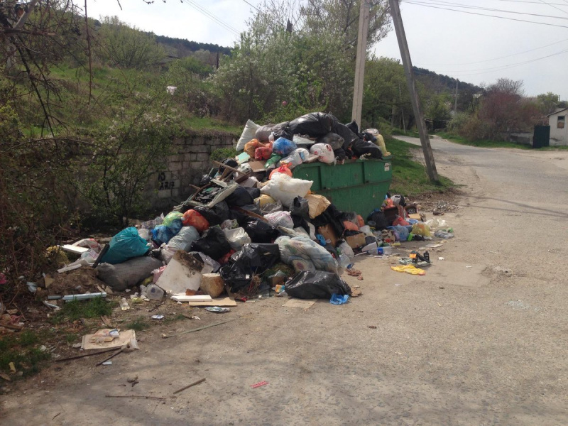 "Что-то исконно русское": в сети показали новые "пейзажи" Крыма (фото)