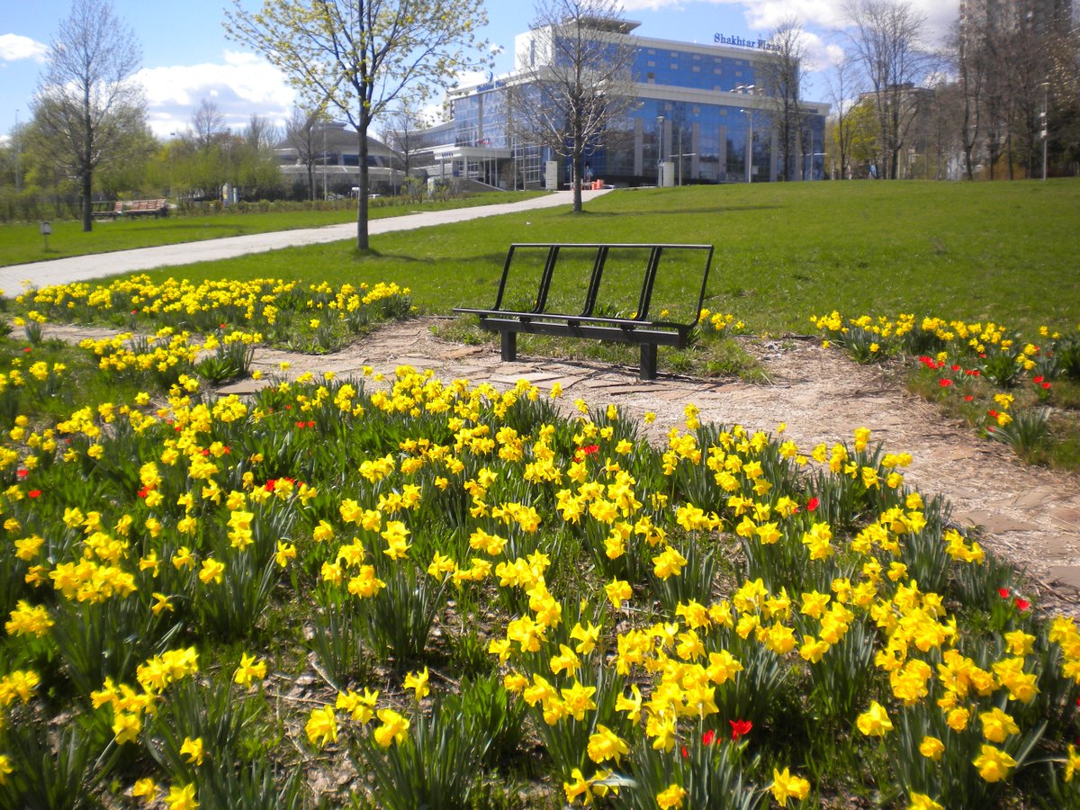 "Життя після людей": в мережі показали сумний стан Донбасу (фото)