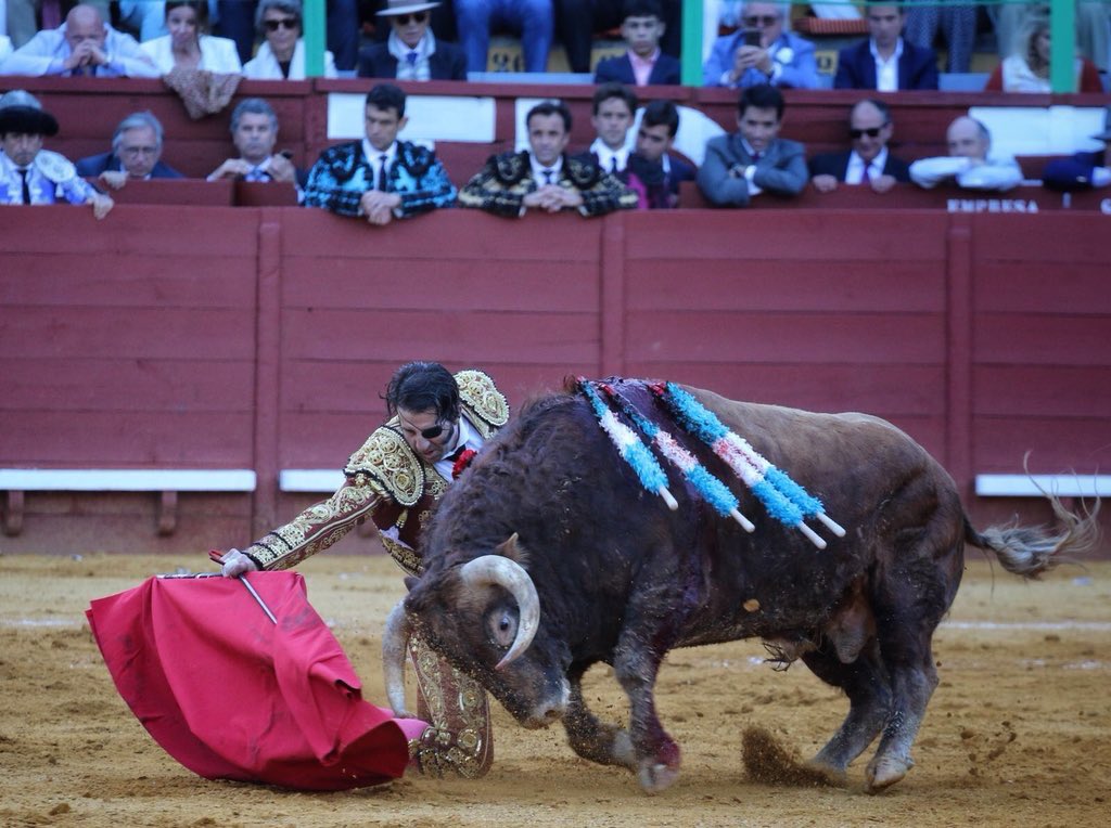 Бык снял часть скальпа со знаменитого матадора: видео не для слабонервных