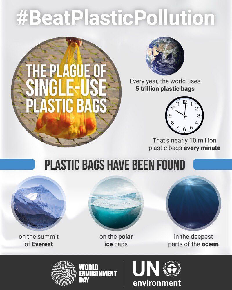 Стало известно, сколько полиэтиленовых пакетов в день использует население Земли