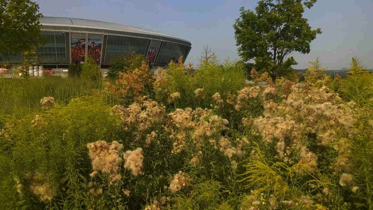 "Там гадюки четыре года уже греются": в сети показали разницу между Киевом и оккупированным Донецком