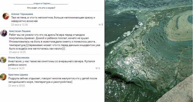 "Мабуть, це братня допомога": в мережі показали жахливий стан курорту в "ДНР" (фото)