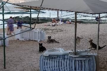 Пустота: в сети показали фото Керченского моста