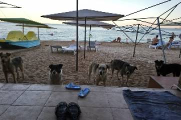 Пустота: в сети показали фото Керченского моста