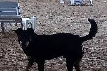 Пустота: в сети показали фото Керченского моста