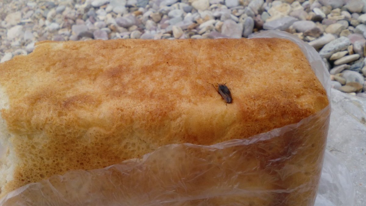 С "изюминкой": в оккупированном Севастополе продают хлеб с сюрпризом (фото)