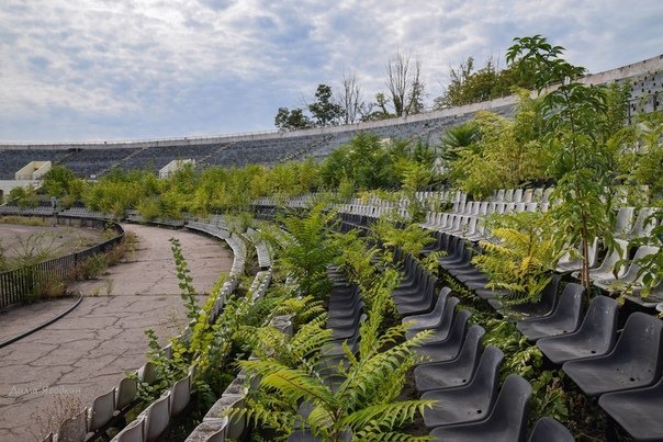 "Лучшая реклама "русского мира": сеть ужаснули фото стадиона в Донецке