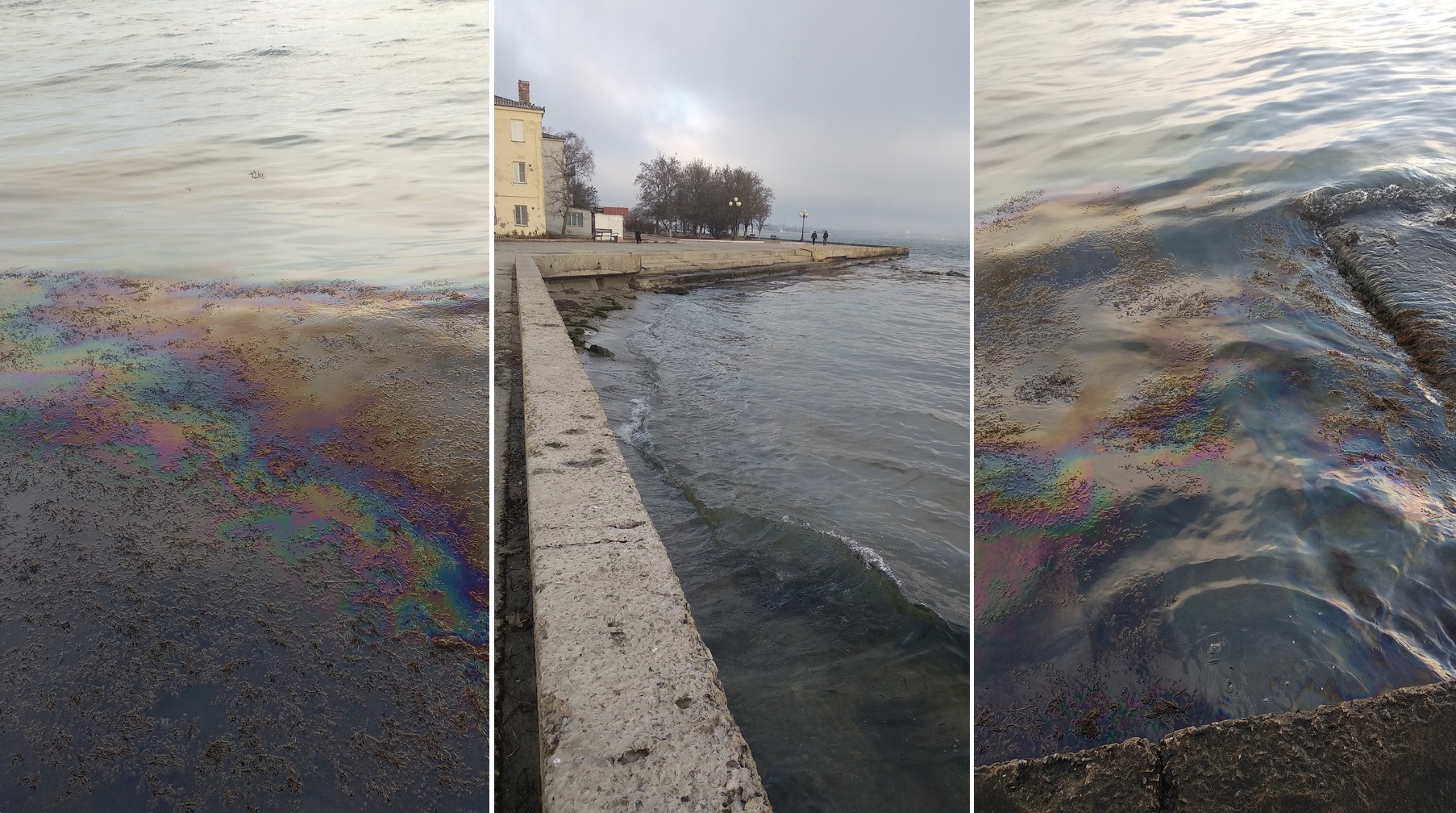 На воді дивні плями: у Чорному морі назріває екологічна катастрофа