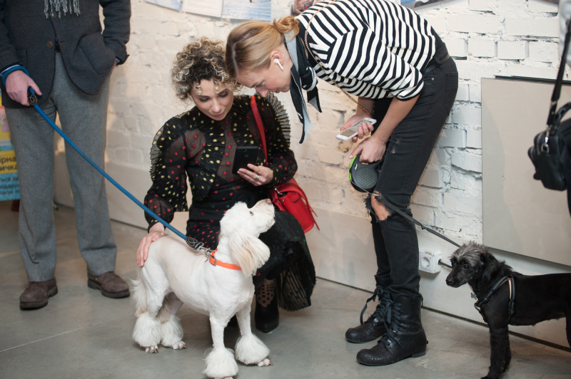 "Четырехлапое alter ego": как в Киеве прошла акция "Art to Help" (фото)