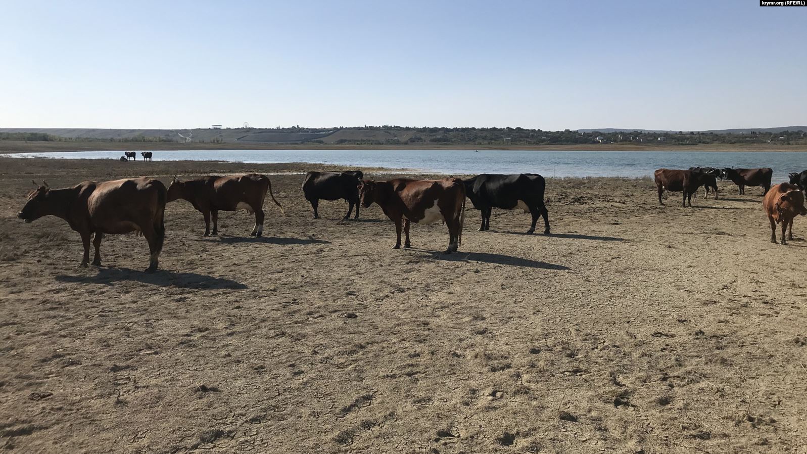 В Крыму погибает еще одно водохранилище: скоро полностью исчезнет