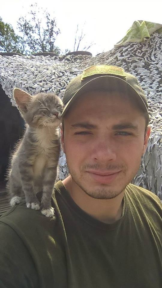 Пушистые патриоты Украины, которые поразили весь мир (фото)