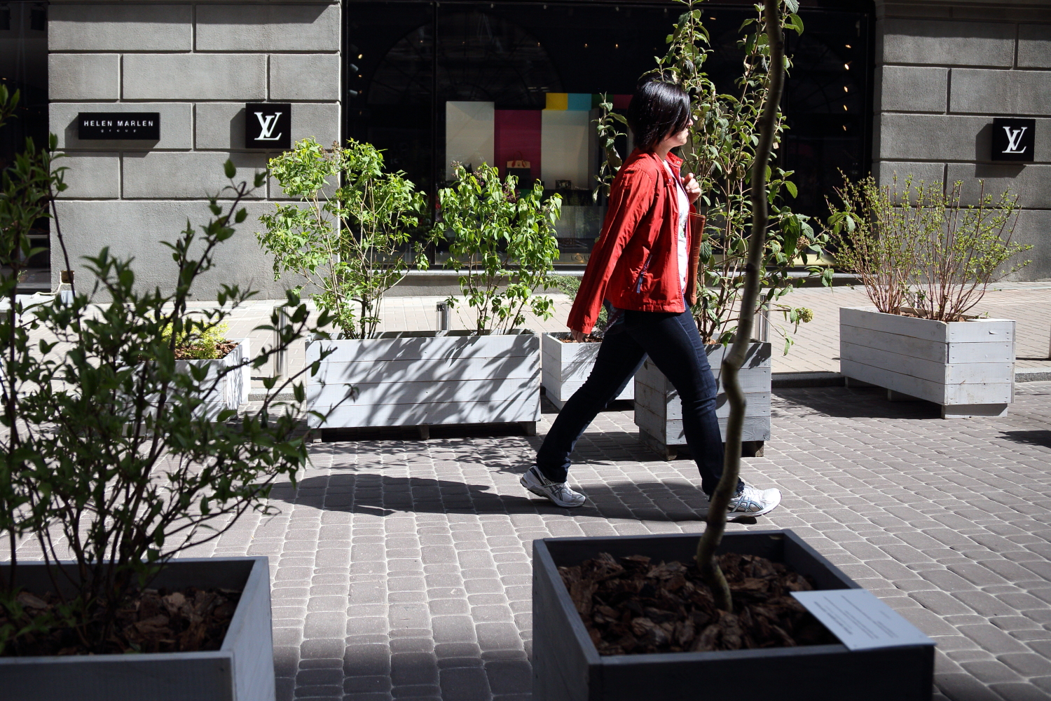 Кадки с деревьями в Пассаже