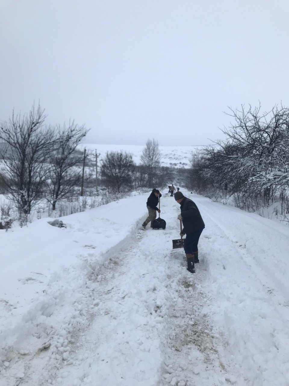 Снежный апокалипсис: Закарпатье заметает снегом (фото)