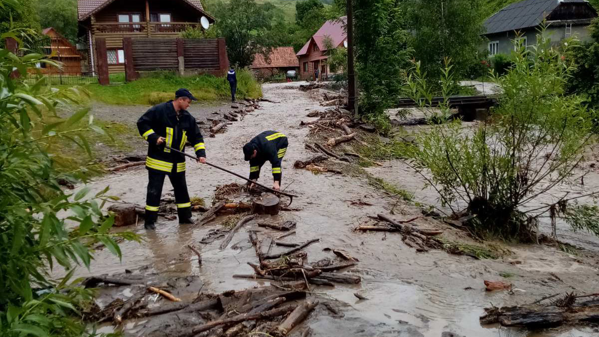 Закарпатье затопило мощным ливнем: повалены деревья, повреждены мосты