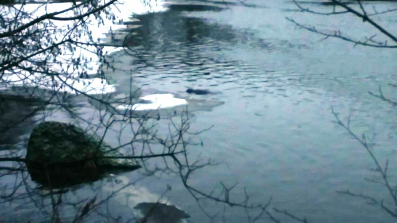 У Житомирі жінка стрибнула з 45-метрового мосту