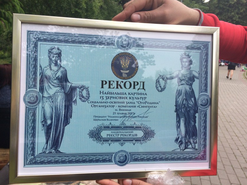 В Виннице создали уникальную картину из семян