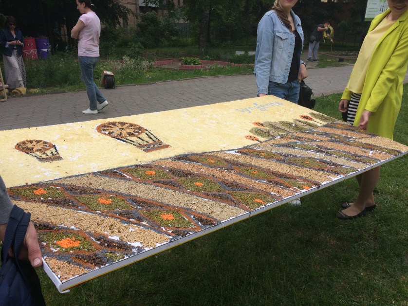 В Виннице создали уникальную картину из семян