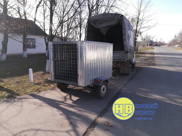 Пример для других городов: в Геническе решили проблему бродячих животных