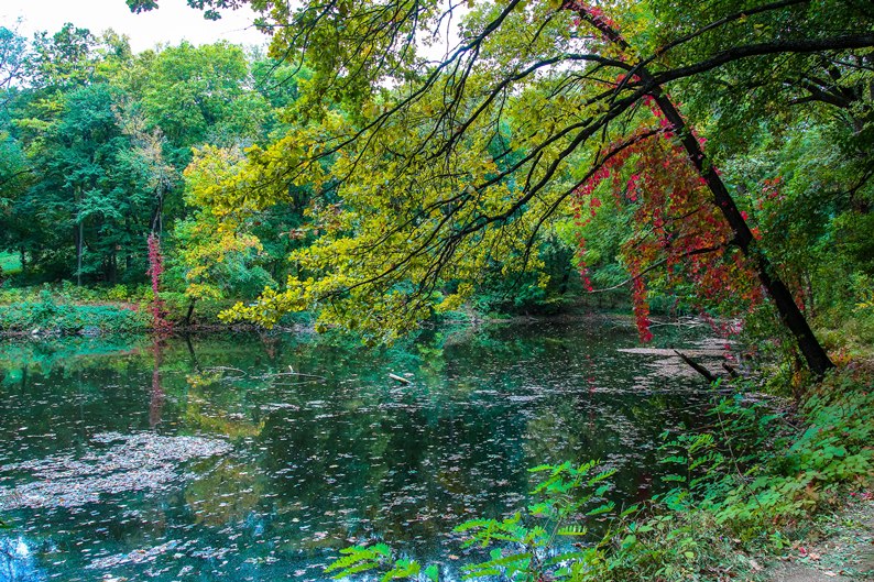 Краснокутський дендропарк