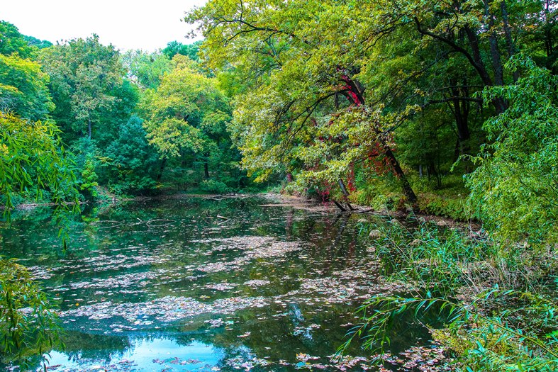 Краснокутський дендропарк