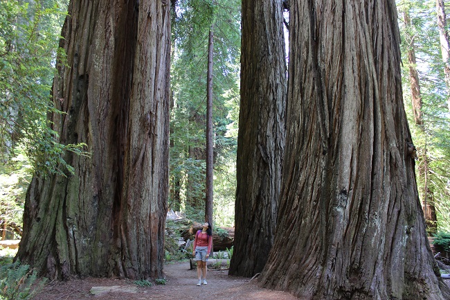 Поездка в США: лайфхаки