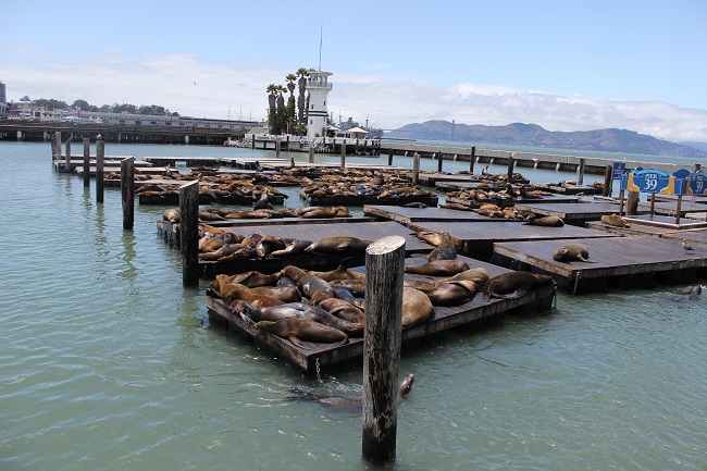 США и Нью-Йорк