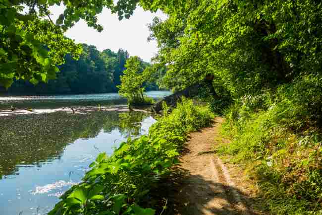 Город, которому повезло: Тростянец удивляет туристов Круглым двором и уникальным дендропарком