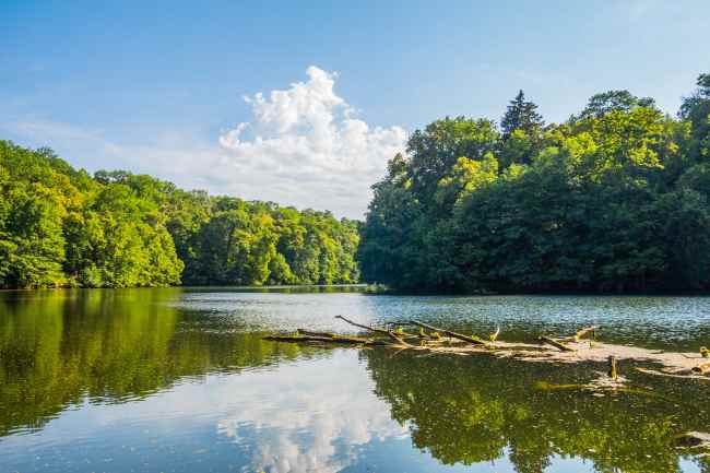 Город, которому повезло: Тростянец удивляет туристов Круглым двором и уникальным дендропарком