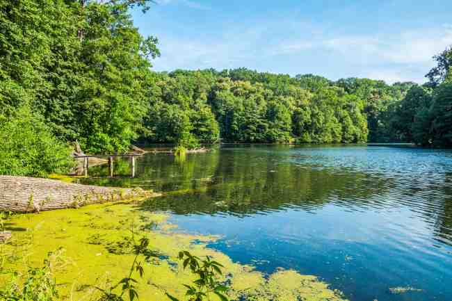 Місто, якому пощастило: Тростянець дивує туристів Круглим двором і унікальним дендропарком
