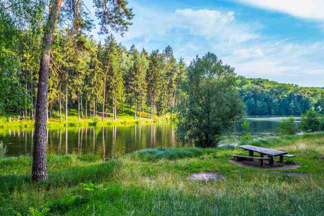 Город, которому повезло: Тростянец удивляет туристов Круглым двором и уникальным дендропарком