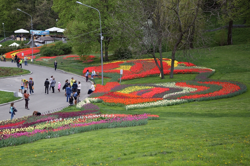 Выставка Цветущие Реки в Киеве
