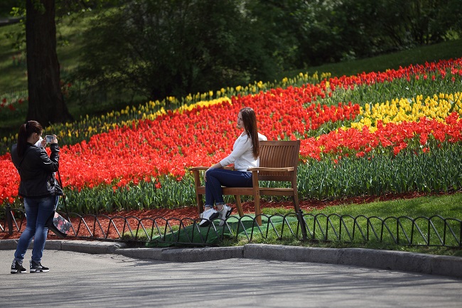 Выходные в Киеве 