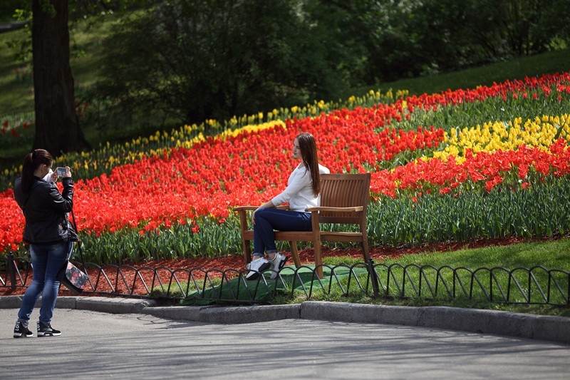 Фото выставки тюльпанов в Киеве