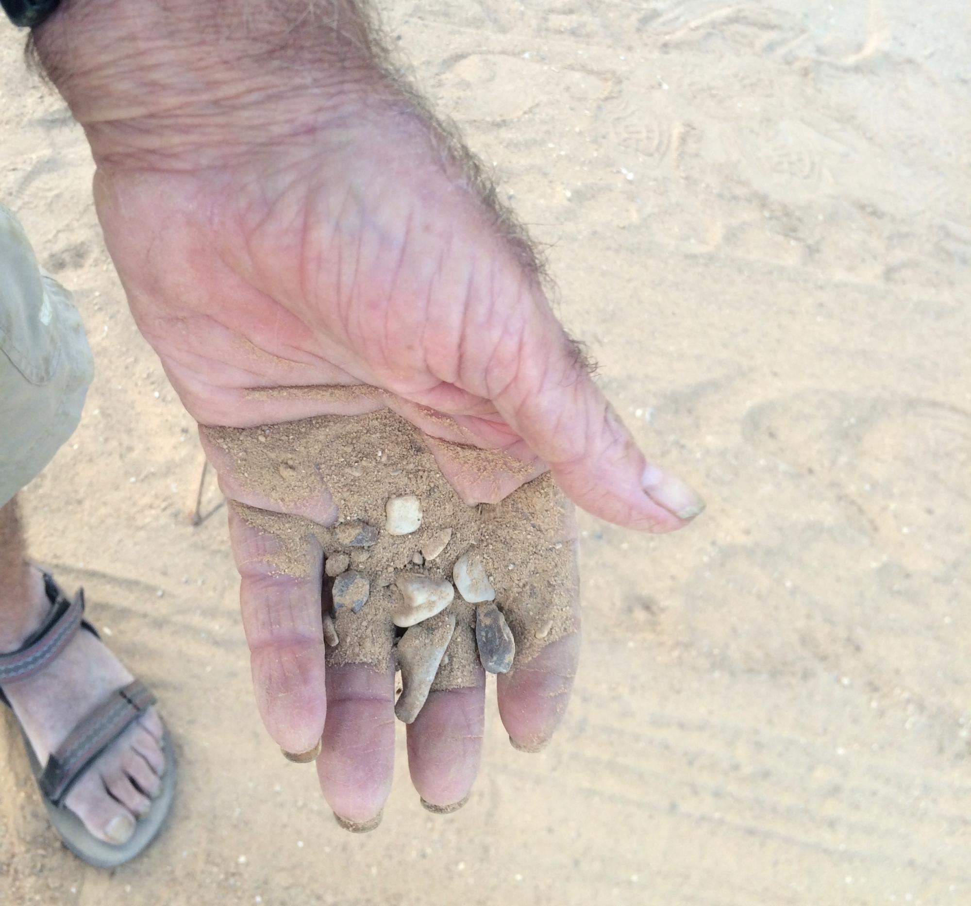 Фермерське диво: як в Ізраїлі вирощують овочі та фрукти в умовах виснажливої спеки в пустелі