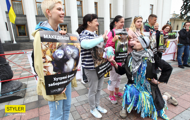 &quot;Серце мають всі тварини, зупиніть здирання шкіри&quot;: почему украинцы против производства меха в Украине