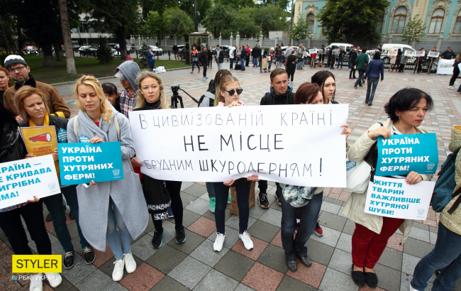 &quot;Серце мають всі тварини, зупиніть здирання шкіри&quot;: почему украинцы против производства меха в Украине