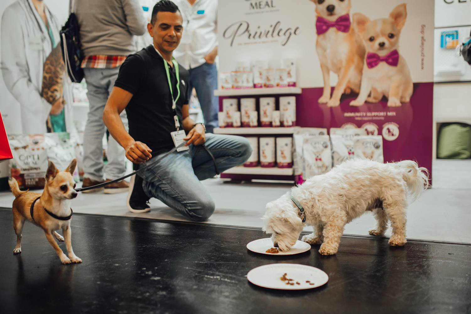 На міжнародній виставці Interzoo бренд Optimeal презентував лінійку харчування для собак Optimeal Privilege