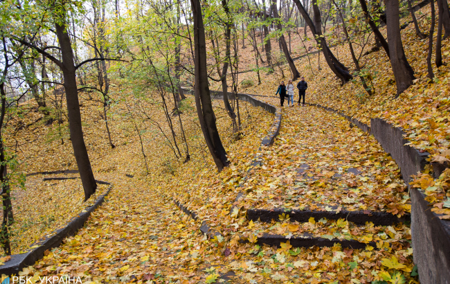 Осеннее тепло и дожди: синоптики уточнили прогноз погоды на 4 ноября