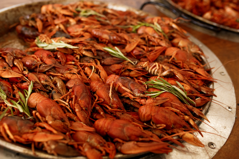 Ola-ola Santa Muerte! У Києві пройшов перший карнавал від Ulichnaya Eda (фото)