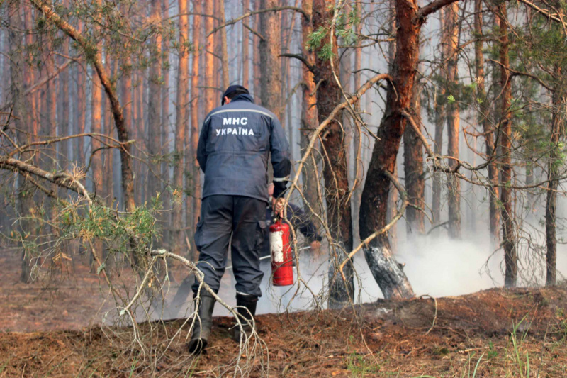 Пожар в Чернобыльской зоне: появились свежие фото и видео