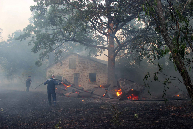 Пожар в Чернобыльской зоне: появились свежие фото и видео